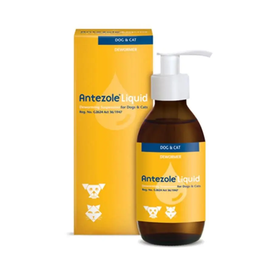 ANTEZOLE LIQUID 100ML