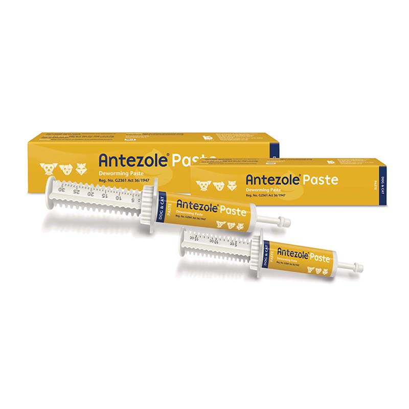 ANTEZOLE PASTE