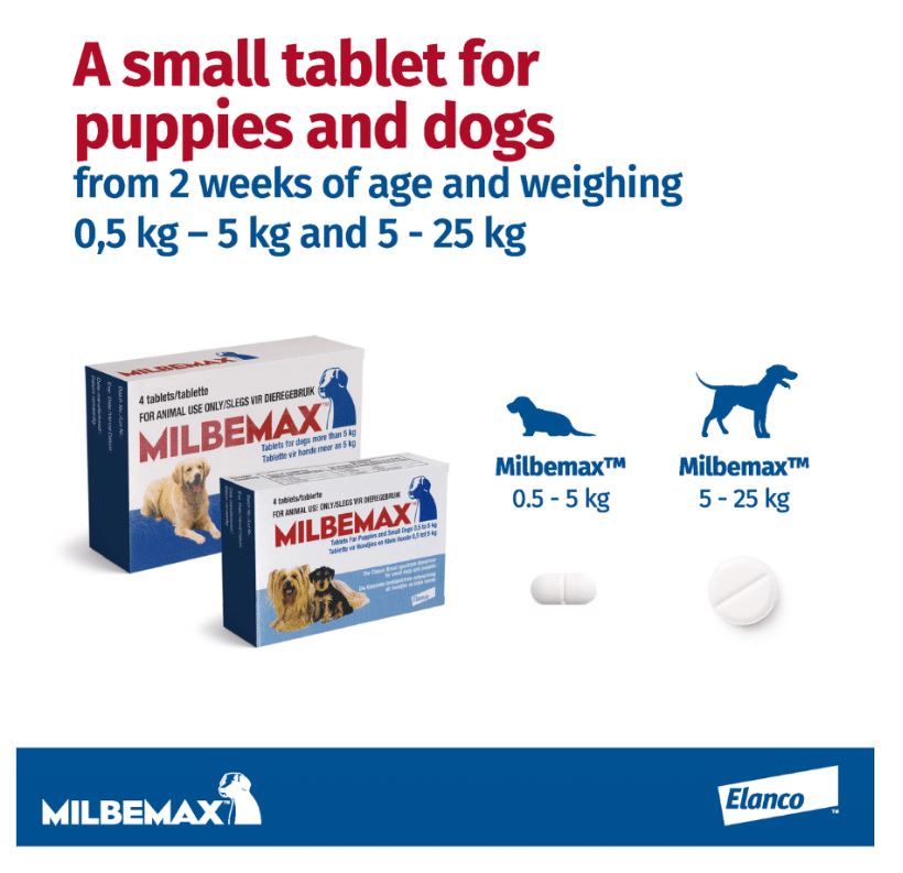 MILBEMAX LARGE >5KG CLASSIC 4S