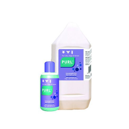 PURL SHAMPOO