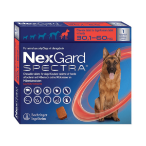 NEXGARD SPECTRA XL 30-60 KG